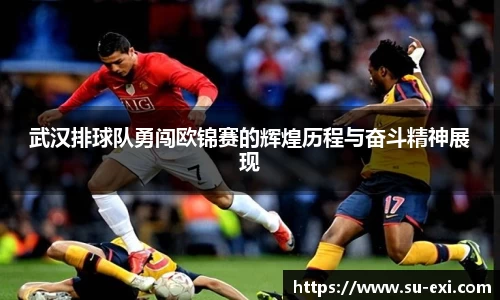 武汉排球队勇闯欧锦赛的辉煌历程与奋斗精神展现