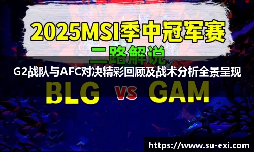 G2战队与AFC对决精彩回顾及战术分析全景呈现